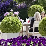 Rudding Park 4* 해러게이트