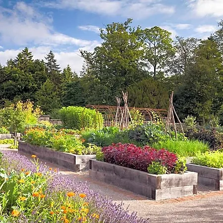 Rudding Park 4*