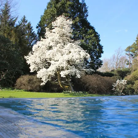 Rudding Park 4*
